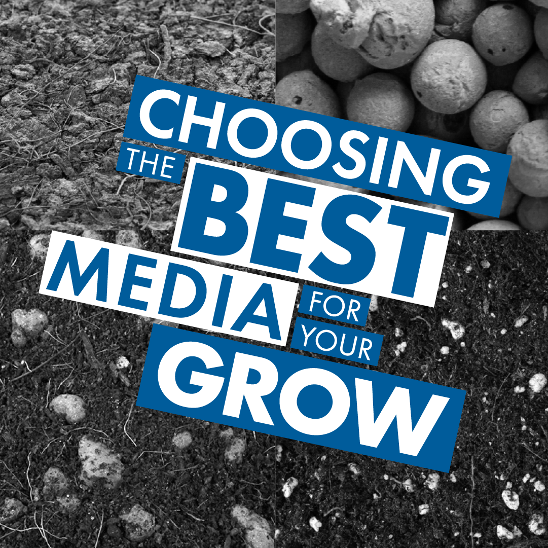 Which Growing Media Is Right For You?